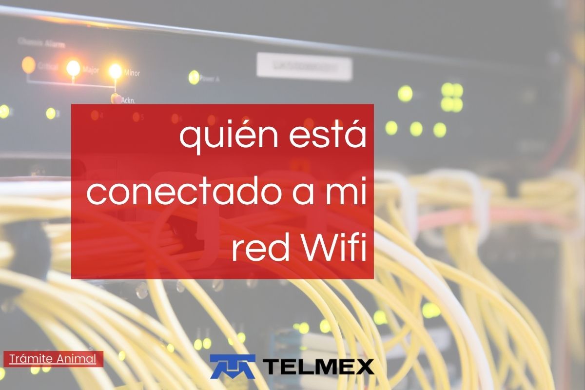 telmex cable ethernet